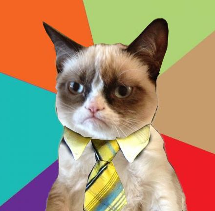 Plantilla de meme Grumpy Business Cat