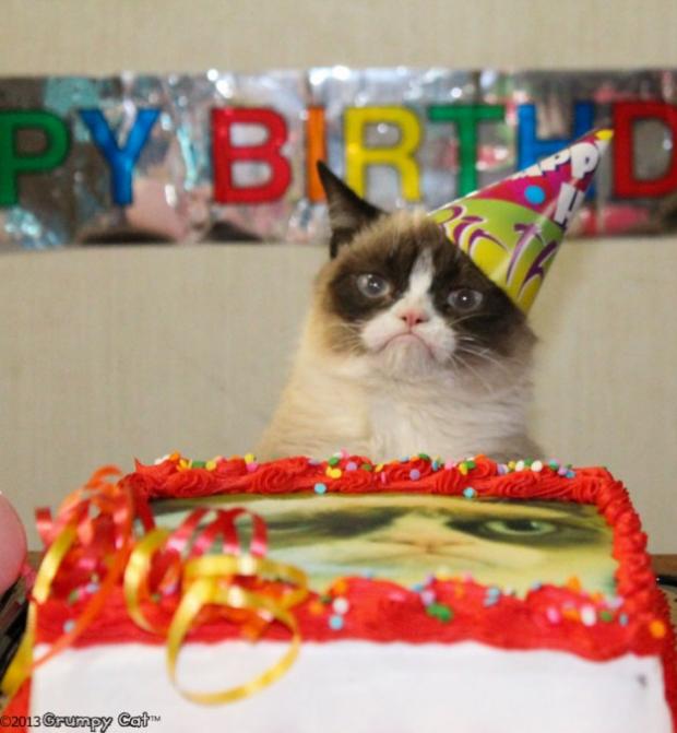 Template meme Grumpy Cat Birthday