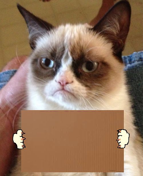 Plantilla de meme Grumpy Cat Cardboard Sign