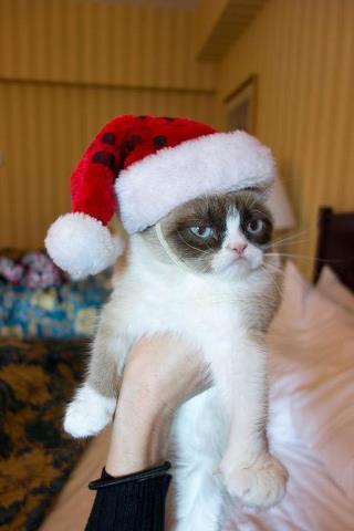 Plantilla de meme Grumpy Cat Christmas