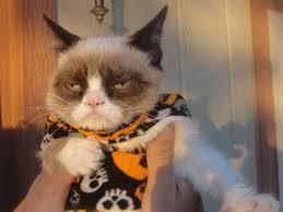 Plantilla de meme Grumpy Cat Halloween