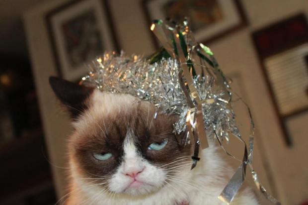 Plantilla de meme Grumpy Cat New Years