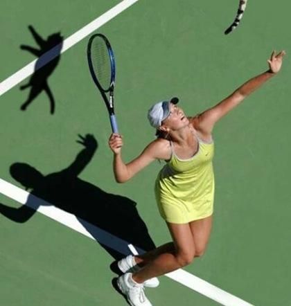 Plantilla de meme Grumpy Cat Tennis