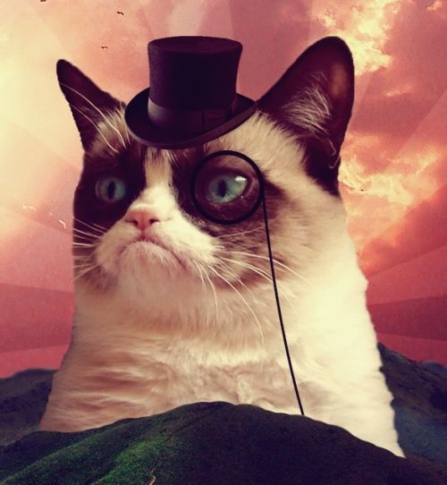 Plantilla de meme Grumpy Cat Top Hat