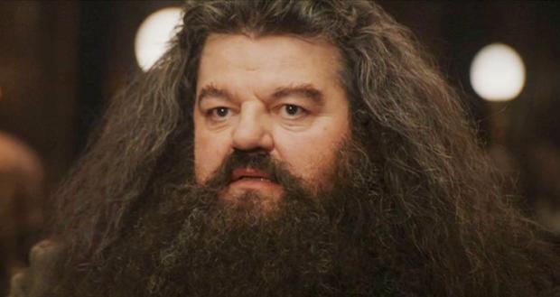 Plantilla de meme Hagrid