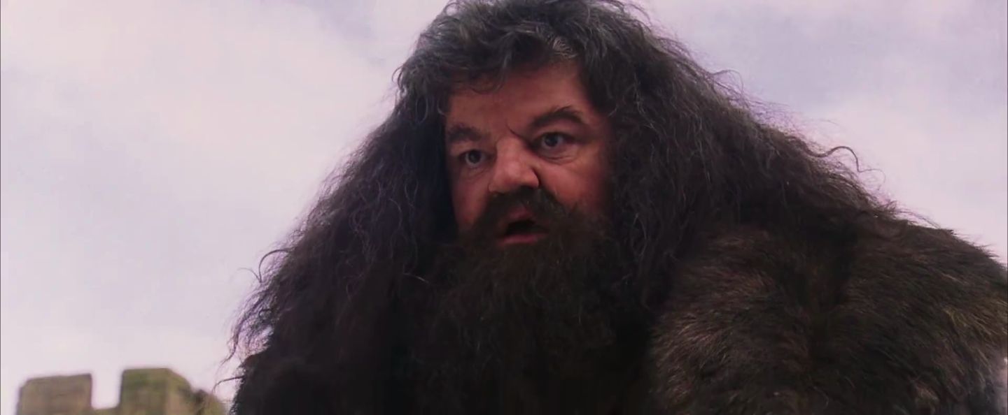 Plantilla de meme Hagrid I Shouldn't Have Said That