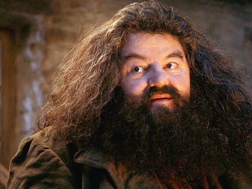 Plantilla de meme hagrid_meme