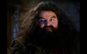 Plantilla de meme hagrid yer a wizard
