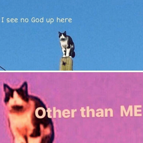 Plantilla de meme Hail pole cat