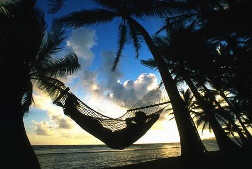 hammock meme template