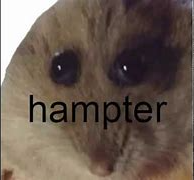 Plantilla de meme hampter