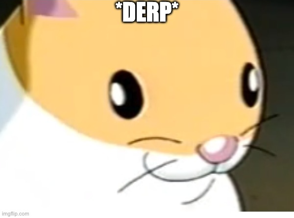Template meme hampter derp