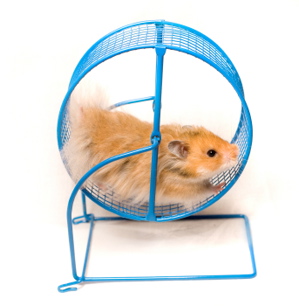 Plantilla de meme Hamster Wheel