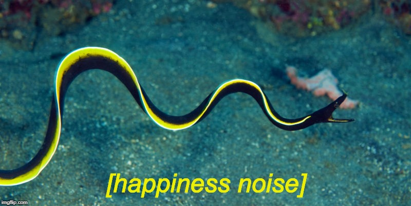 Happiness Noise Eel meme template