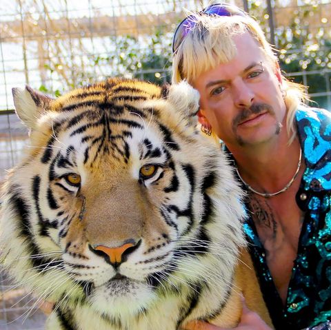 Template meme Happy Birthday Tiger King