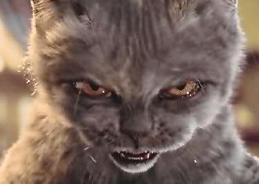 Template meme Happy Halloween Cat memes