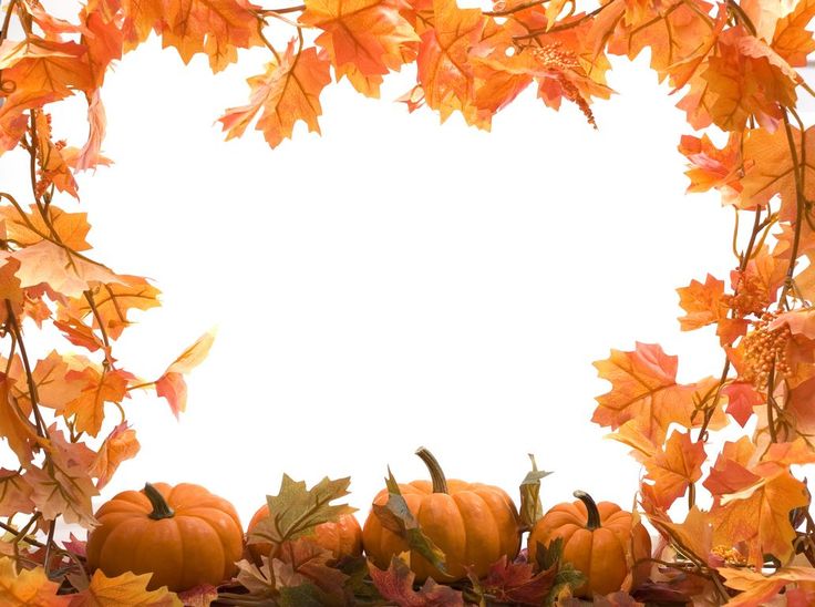 Template meme Happy Thanksgiving