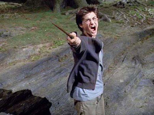 Plantilla de meme Harry Potter Yelling