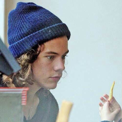 Plantilla de meme harry styles and the fry
