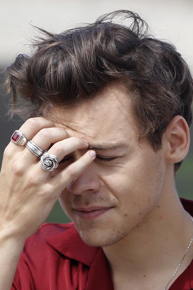 Template meme Harry Styles meme
