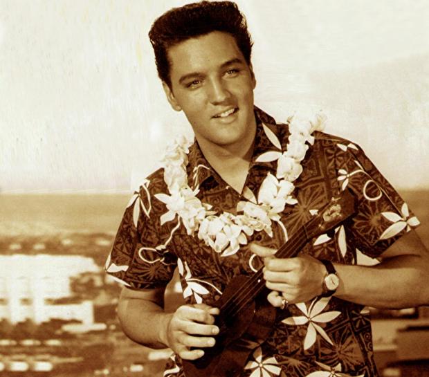 Plantilla de meme hawaiian elvis