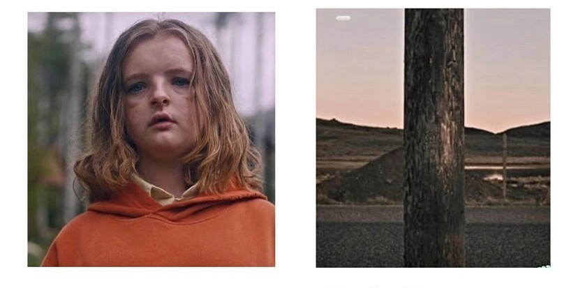 Plantilla de meme Hereditary girl