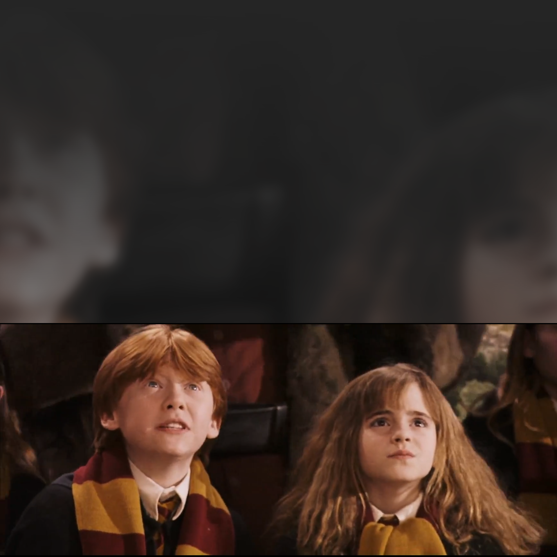 Template meme Hermione and Ron perspective (Harry Potter)