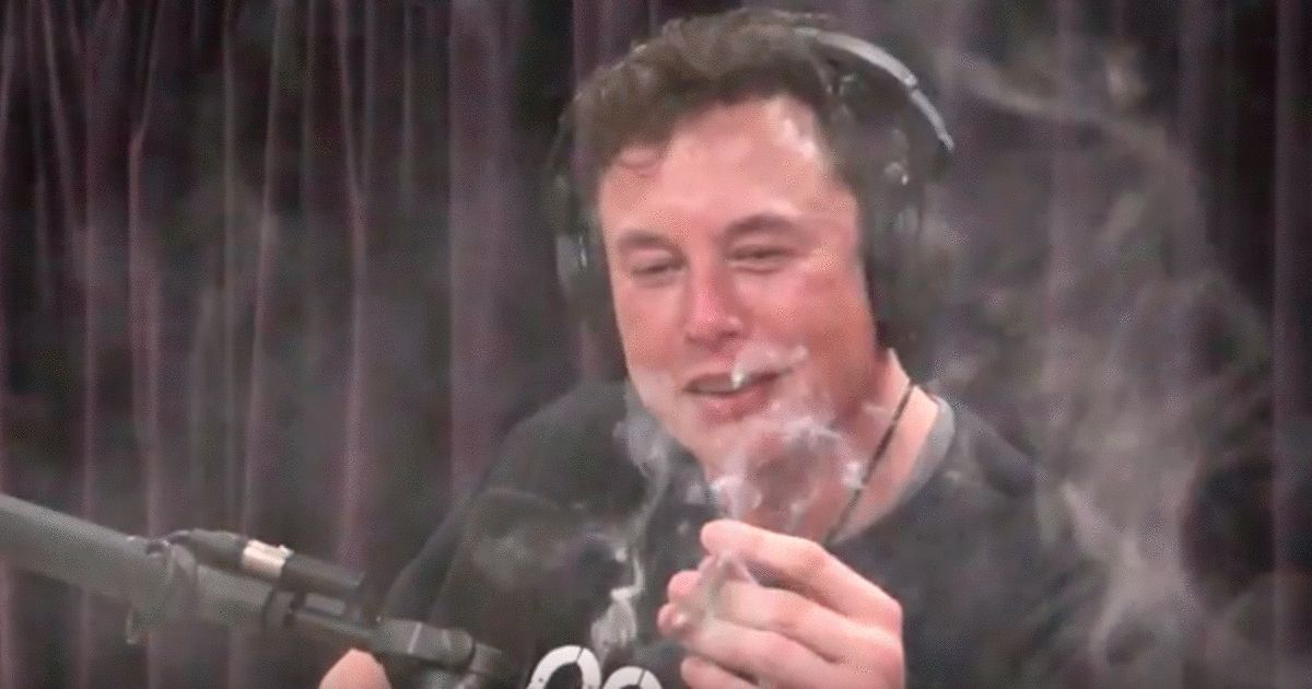 Plantilla de meme High Elon Musk