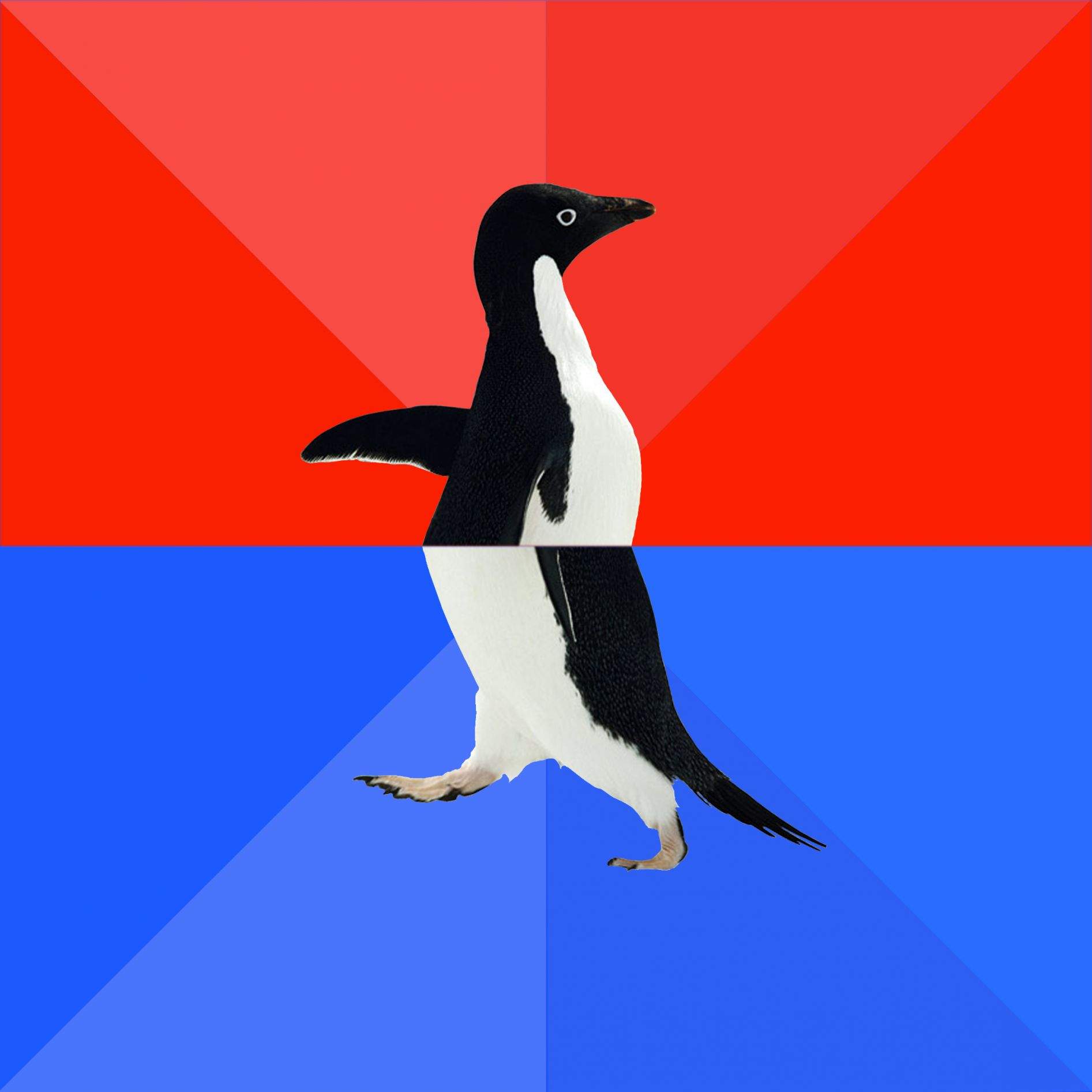 Template meme High Res Socially Awesome/Awkward Penguin