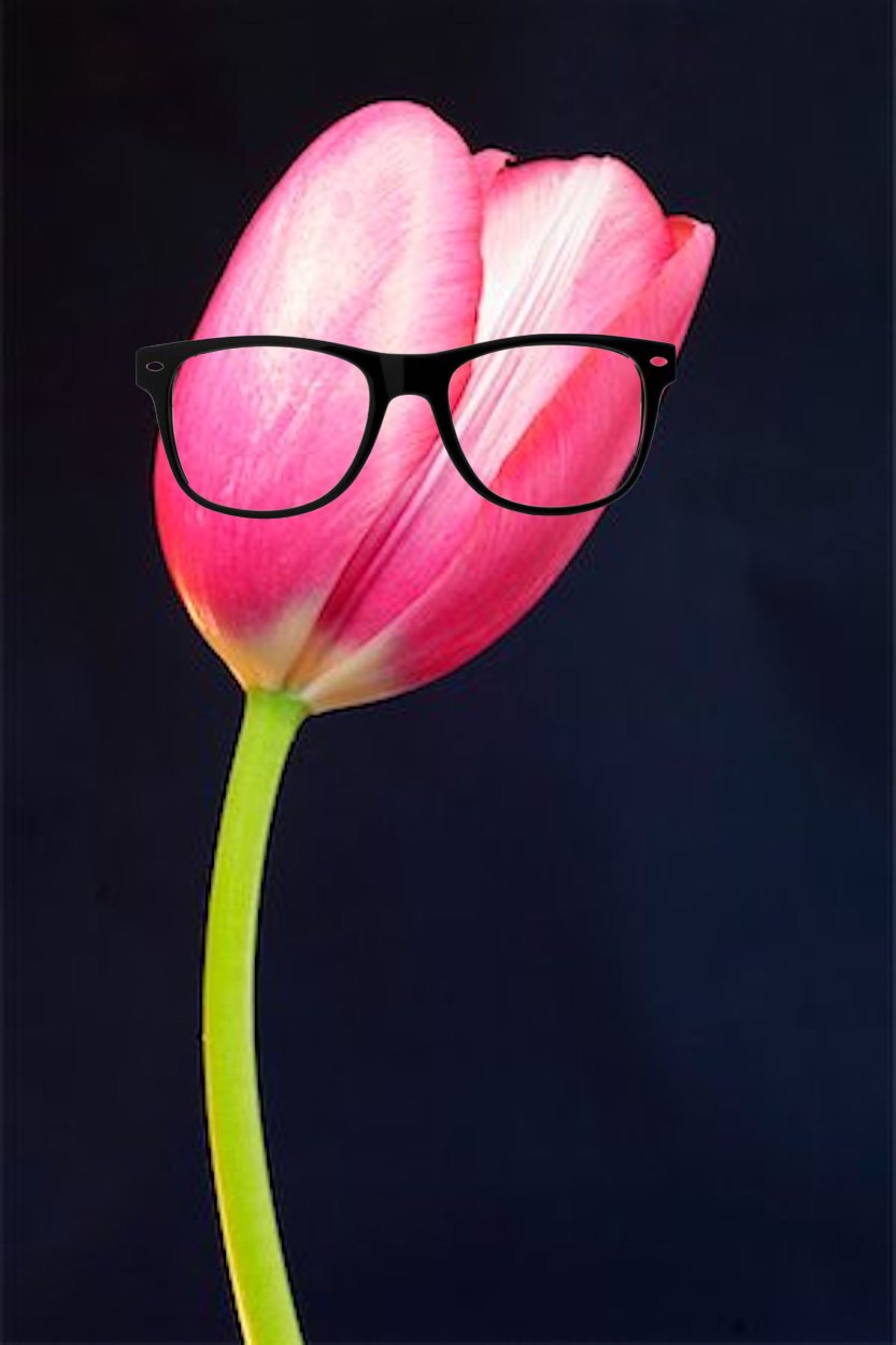 Template meme Hipster Tulip