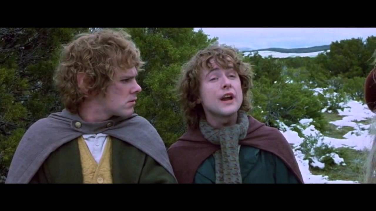 Plantilla de meme Hobbit Merry Pippin