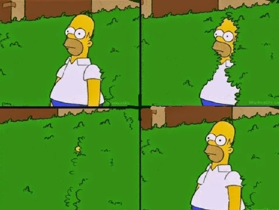 Plantilla de meme HOMER BUSH