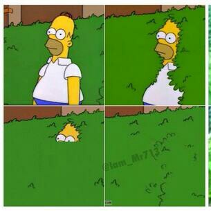 Template meme Homer hides