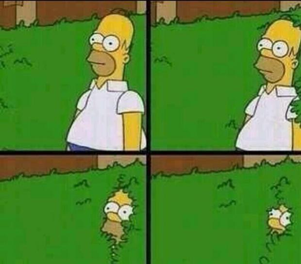 Plantilla de meme Homer Simpson in Bush - Large