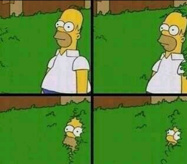Homer Simpson Nope meme template