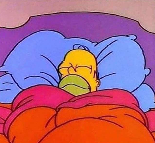 Plantilla de meme Homer Simpson sleeping peacefully