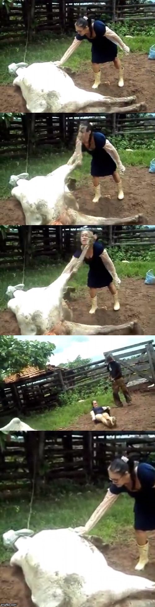 Plantilla de meme hoof in the face
