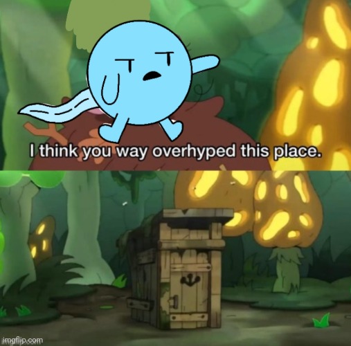 Hoplash you way overhyped this place meme template