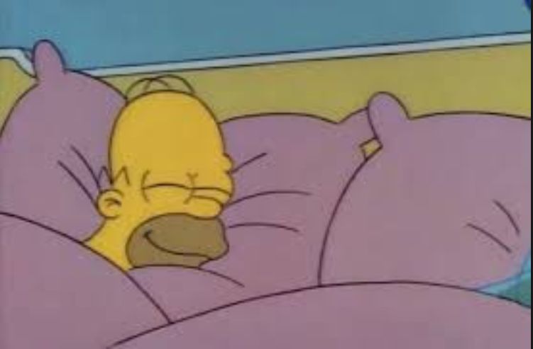 Template meme how i sleep homer simpson