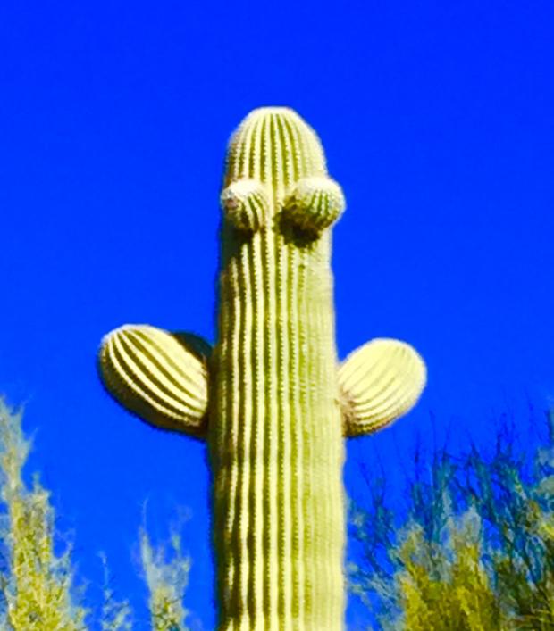 Huggy Cactus  meme template