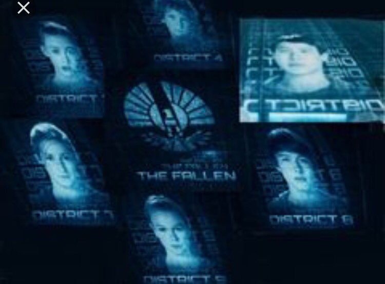 Plantilla de meme Hunger Games Fallen