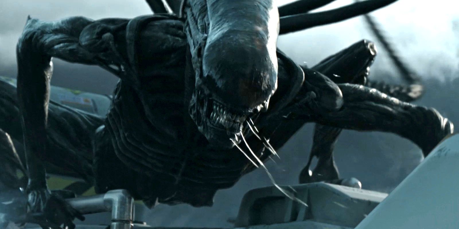 Plantilla de meme Hungry Xenomorph Gourmet