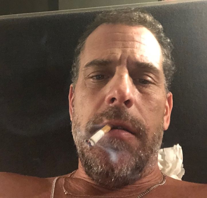Plantilla de meme Hunter Biden