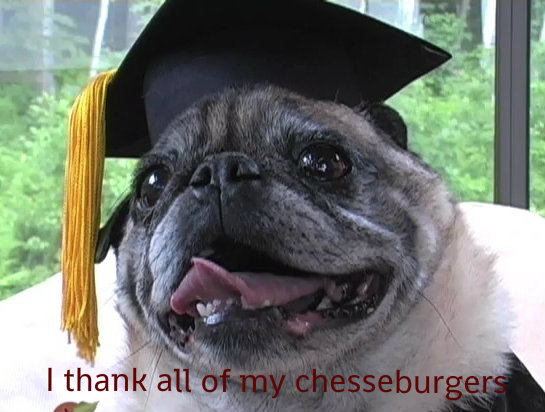 Template meme I'm hungry for more until graduation
