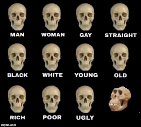 Plantilla de meme idiot skull