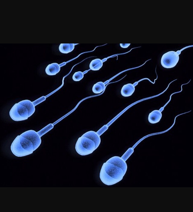 Template meme Inspirational Sperm