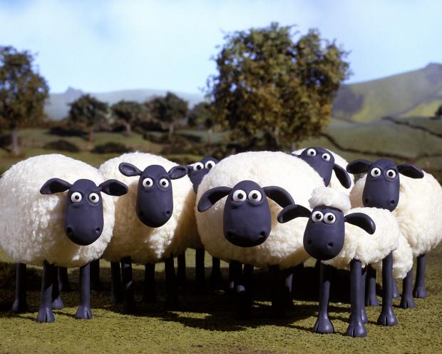 Plantilla de meme iPhone sheep