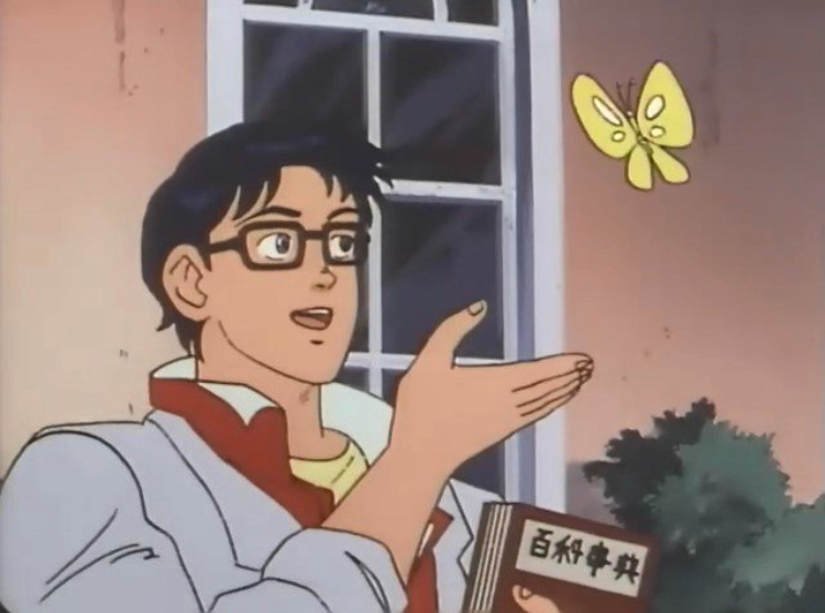 Template meme Is this a bird?