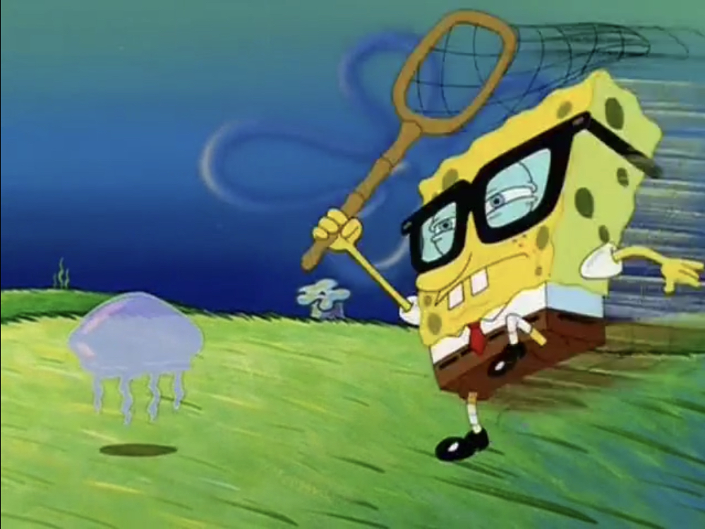 Plantilla de meme Jellyfish Chase