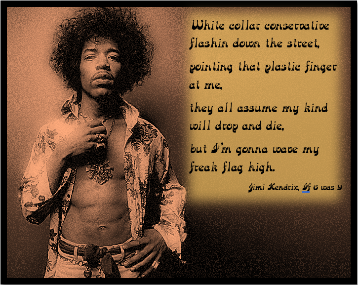 Template meme Jimi Hendrix Let your freak flag fly